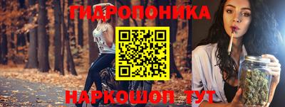 мдпв Рузаевка
